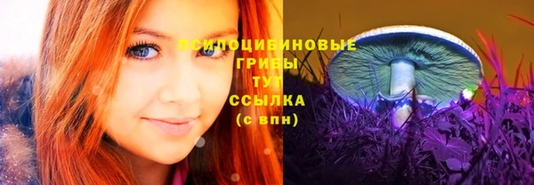 метадон Аркадак