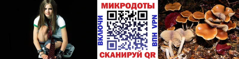 закладки  Минеральные Воды  Галлюциногенные грибы прущие грибы 